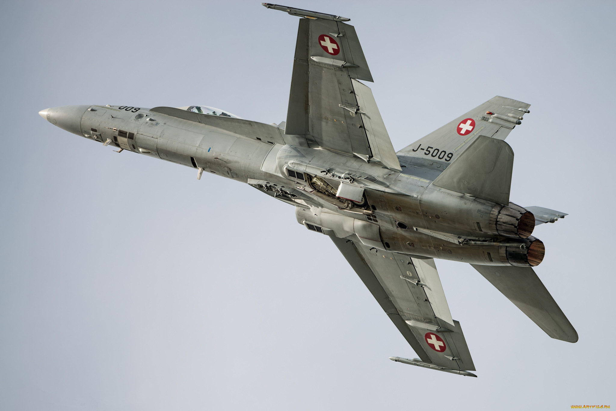 hornet, ,  , 
